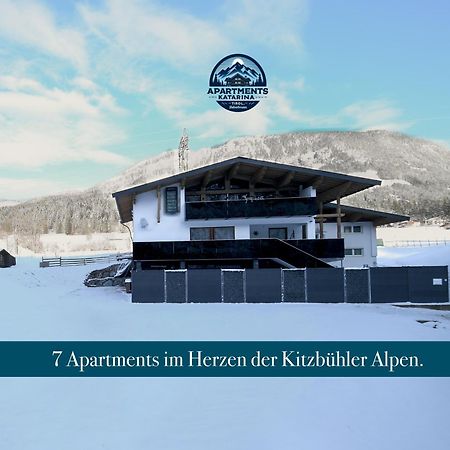 Apartments Katarina Fieberbrunn Εξωτερικό φωτογραφία
